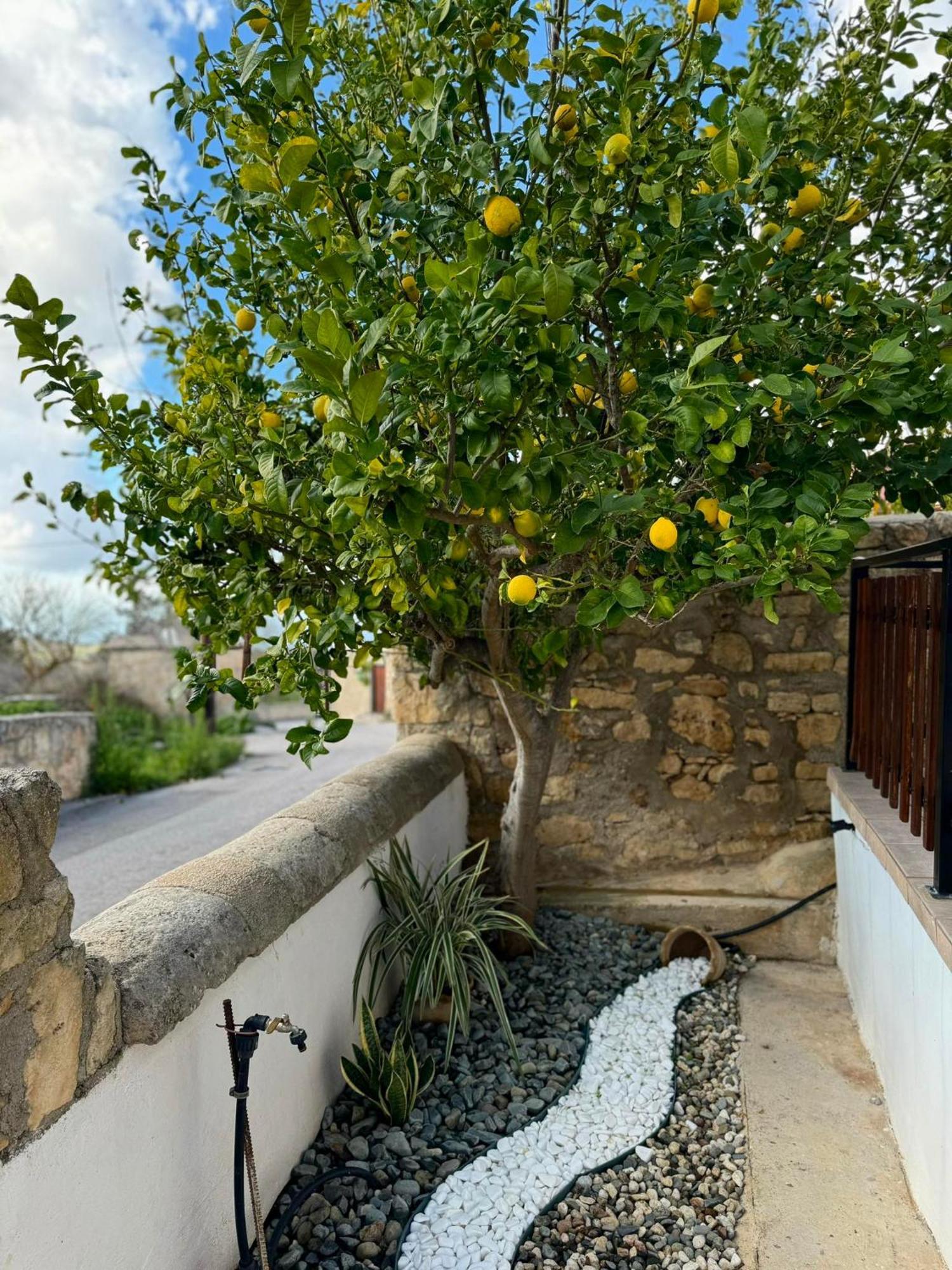 Mariarodes House Villa Pano Arodes Luaran gambar